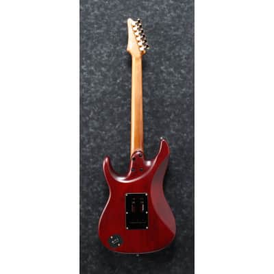 Ibanez Scott LePage SLM10-TRM image 3
