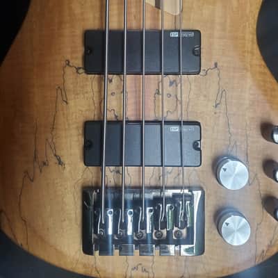 ESP LTD ACTIVE 5 string Bass Spalted Maple with EXTRAS **minty** image 3