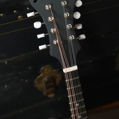 Eastman MD314 Spruce/Maple F-Style Oval Hole Mandolin #3716 image 3
