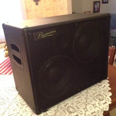 Bergantino HD 210 Bass Cabinet image 2