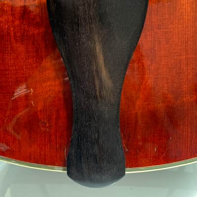 Eastman AR810CE – 2010 image 7