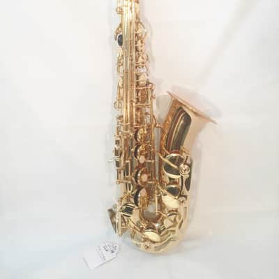 Musikwerks-Gold Lacquer Alto Saxophone-Semi Pro Level-High F#-New-Shop Warranty! image 1