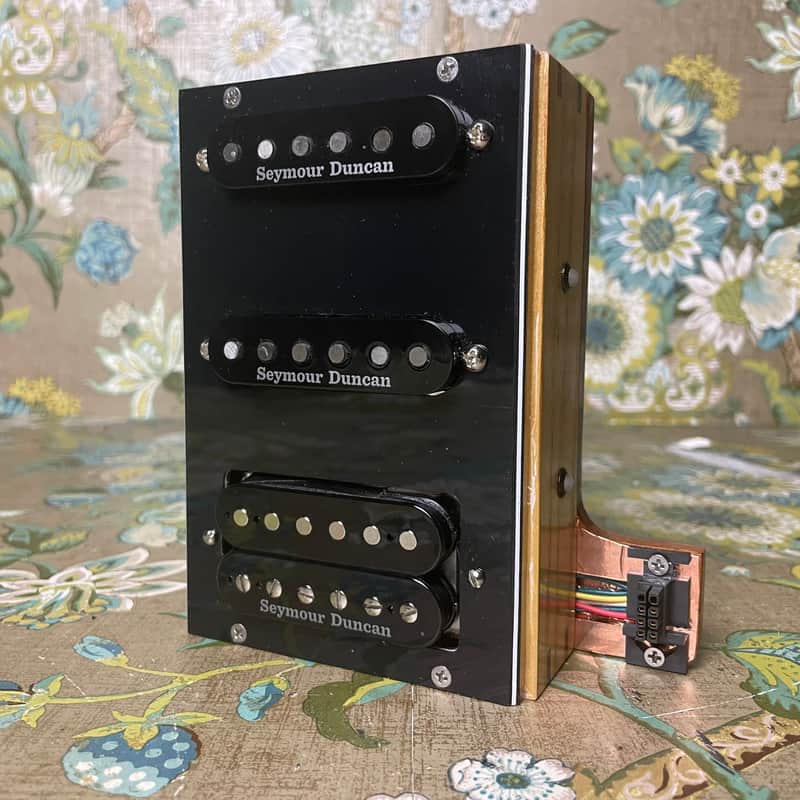 Reddick Guitars Pickup Module HSS image 1