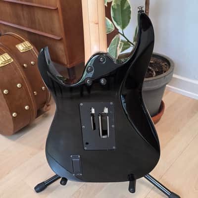 Ibanez Prestige RG2450Z TEAM J CRAFT 2008 LIMITED EDITION Maple Fretboard Custom EMG FujiGen HH Super Strat RG Guitar MIJ Japan image 18