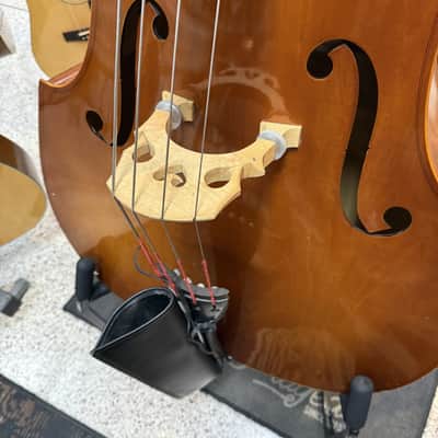 Samuel Eastman VB80 3/4 Size Upright Bass w/Bag image 4