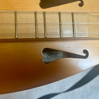 Applecreek Dulcimer - Gig  Bag, Strap, Capo, New Strings image 6