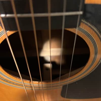 Washburn D13N image 6