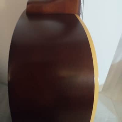 Art & Lutherie Bourbon Burst Wild Cherry image 10