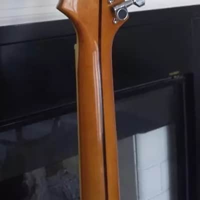 Ollandoc Trey Anastasio Languedoc Replica, PHISH image 5