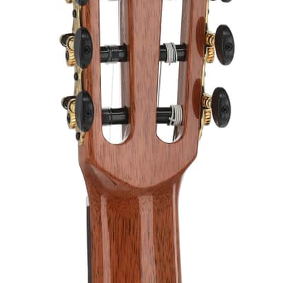 Manuel Rodriguez Cortado Santo Rosewood 4/4 Gloss E-Acoustic Cutaway (501462) image 10
