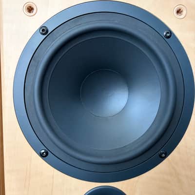 Tannoy Fusion 4 Custom - Apple image 14