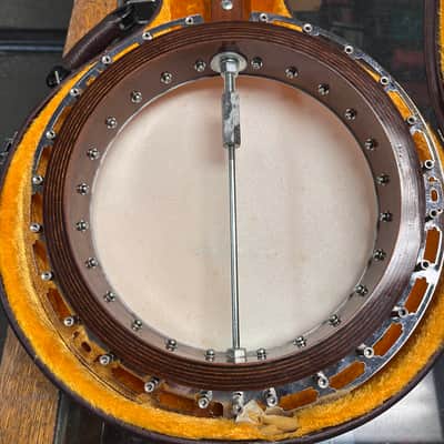 Epiphone MB-100 5 String Resonator Banjo, Hard Case image 12
