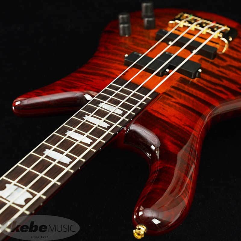 SPECTOR Euro 4 LX RAS LAYER -Twilight Amber- | Reverb
