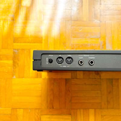 GEM DEX-20 (Made in Italy, 1990)! Vintage MIDI Expander Sound Module with Integrated Effects! image 11