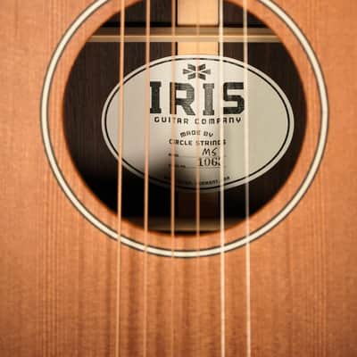 Iris ms-OO Redwood / Rosewood 2024 - Natural Satin image 5