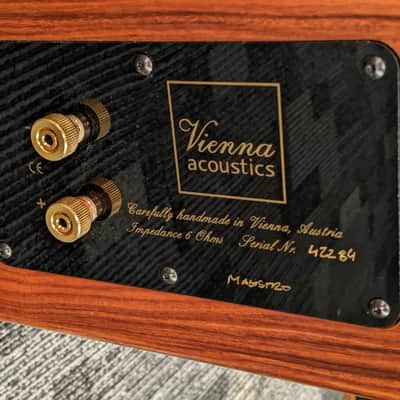 Pair of Vienna Acoustics Maestro Speakers image 13