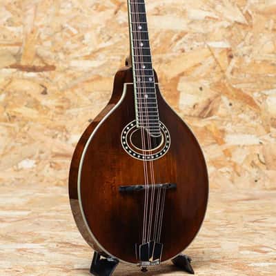 Eastman MD504 2022 imagen 3