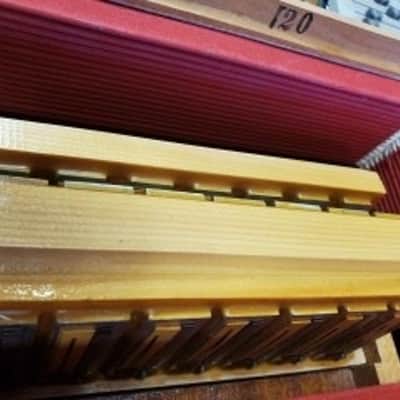 Titano Tiger Accordion Blue WOW!! image 17