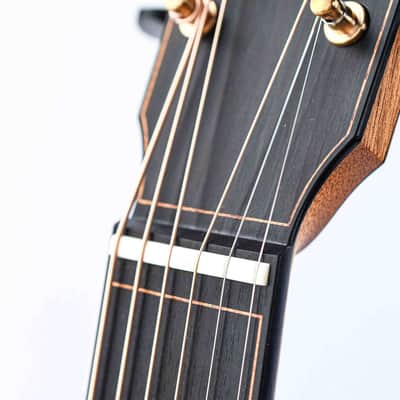 Dion Guitars No. 4 Italian Spruce Cocobolo image 12