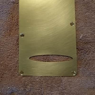 Fender Stratocaster Brass Backplate/Sustainer -satin image 2