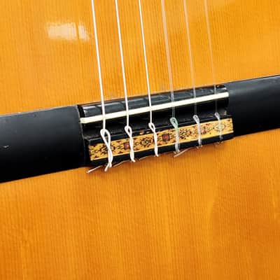 Enrique Tapicas C40 Cadiz Classical Guitar by Washburn - Natural image 5