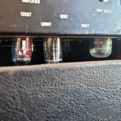 Ampeg V-22 1976 image 4