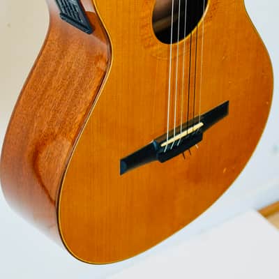 Rare Taylor NS52ce (2003) – Jason Mraz Spec – USA Made – Fishman image 5