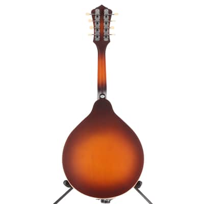 Recording King Dirty 30s A-Style Mandolin (M3)(60101) (60101) image 6