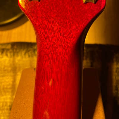 Gibson Les Paul Slash AFD 2010 image 18