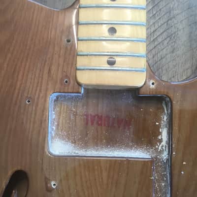 Fender Telecaster Thinline 1973 - 1978 - Walnut (Mocha) image 22