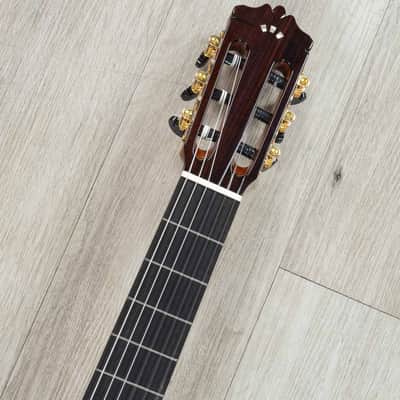 Cordoba C10 SP Nylon-String Classical Acoustic Guitar, Ebony Fretboard, Solid European Spruce image 9