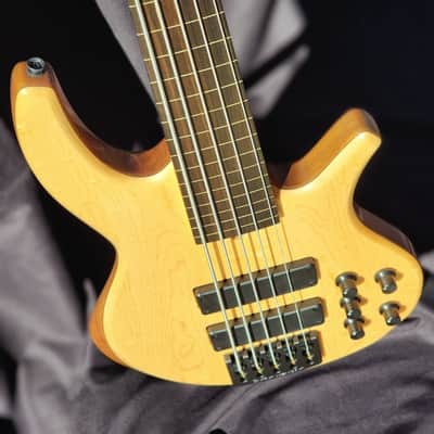 Overwater Progress Series IV Custom 5 String Fretless image 2