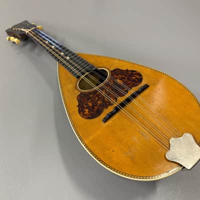 Washburn Bowl-Back Mandolin with Original Case, 1890s image 3