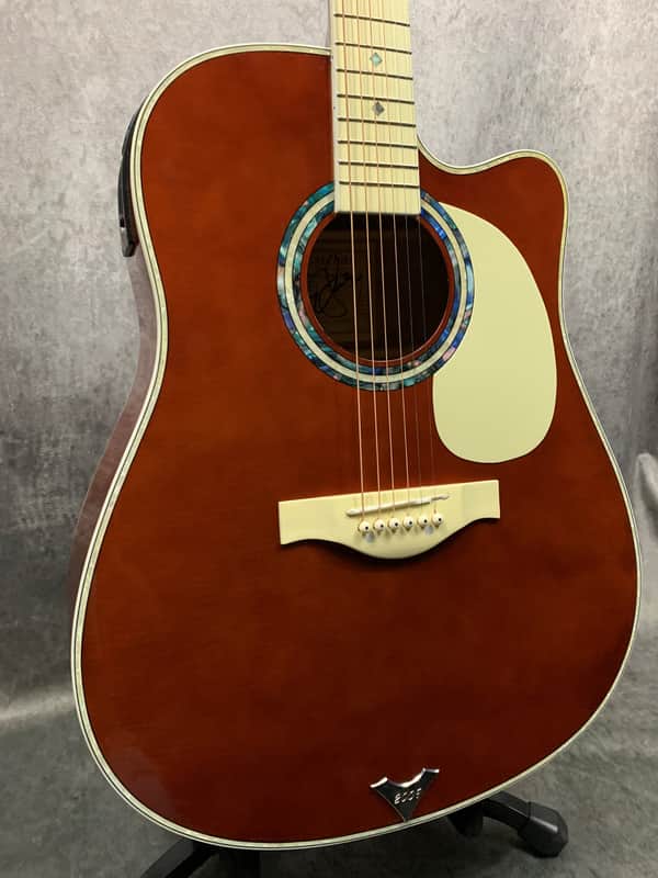 Esteban VL-200 Acoustic/Electric Prototype 2009 image 1