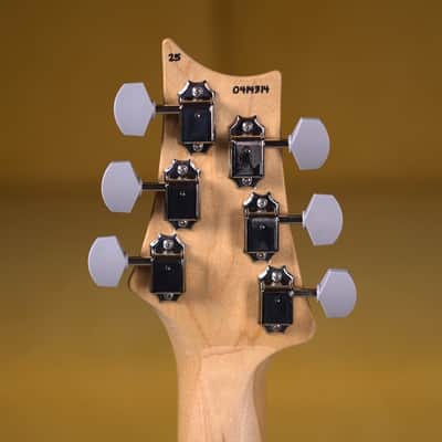 New PRS Silver Sky Maple - Frost image 6