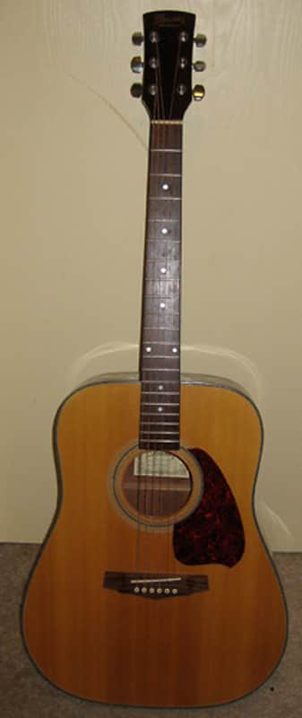 Ibanez PF5-NT-14-02 Acoustic Dreadnought Guitar Bild 1