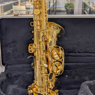 Alpine Woodwinds AAS143 2010's Alto Saxophone with Case - Gold image 13