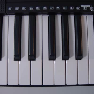 Yamaha PSR-E263 61-Key Portable Keyboard 2017 - Present - Black image 6