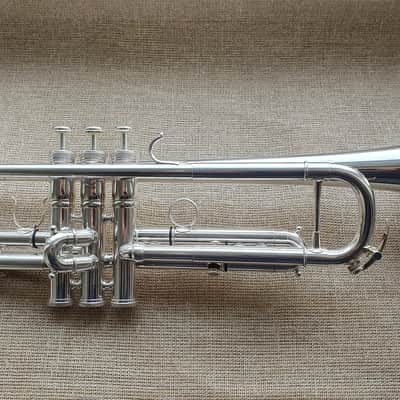D. Calicchio DT-S1s/3M Dave TRIGG Model | Gamonbrass trumpet image 3