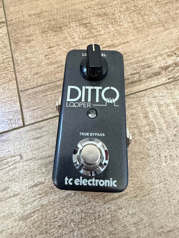 TC Electronic Ditto Looper 2013 - Present - Black image 1