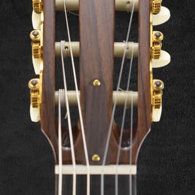Taylor JMSM Jason Mraz Signature Model image 3
