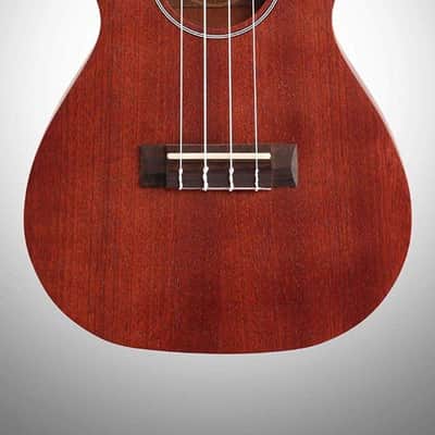 PukanaLa Model PU16T Tenor Ukulele with Sapele Mahogany Top, Back and Sides image 3