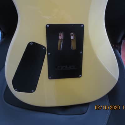 Kramer Baretta/George Lynch Custom paint Tiger .....Mint condition great deal image 9