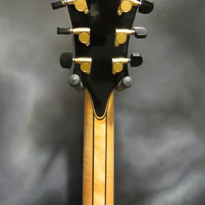 Eastman AR910CE Natural image 6