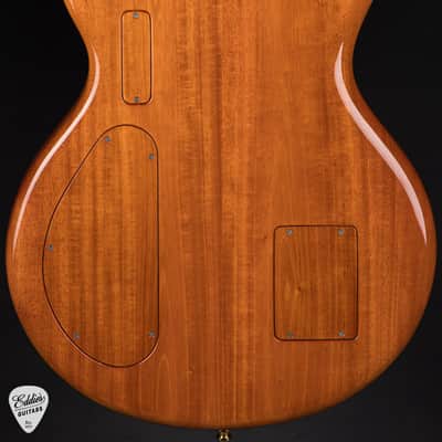 Alembic Skylark - Zebrawood image 4