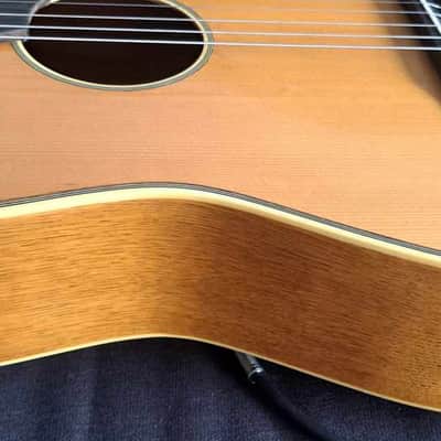 HARMONIE Folk/blues parlor with 3 piezo pickups 1960 image 15
