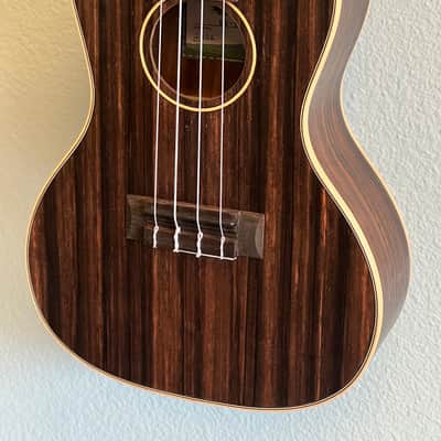 Kala KA-EBY-C Striped Ebony Concert Ukulele - Satin image 1