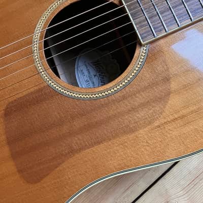Washburn SJ-28S Round Shouldered Solid Top Dreadnought Acoustic Guitar image 7