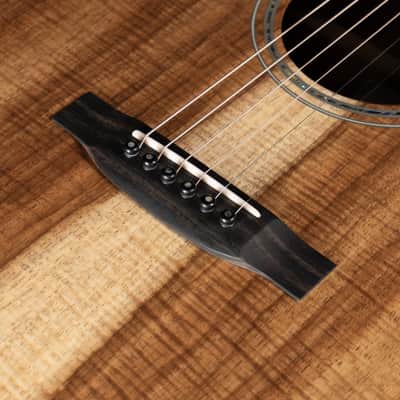 Froggy Bottom H-12 Deluxe 2021 image 12