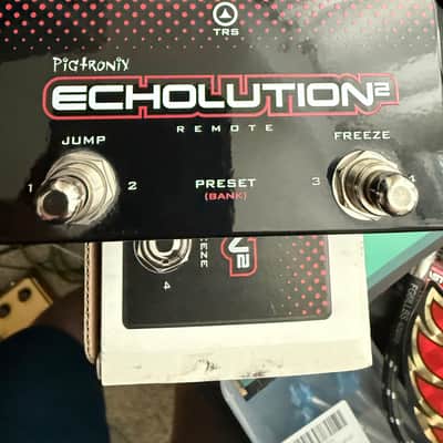 Pigtronix Echolution 2 Ultra Pro 2010s - Black image 4